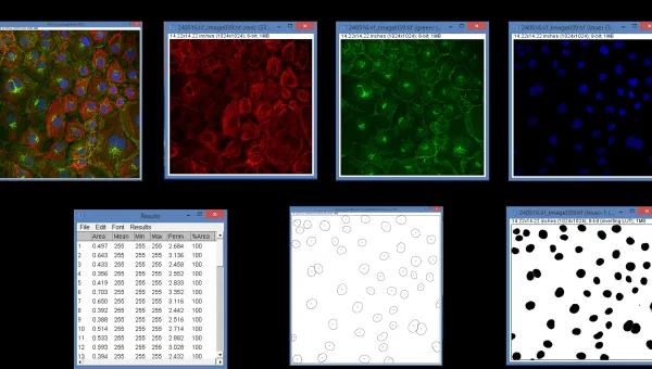a conceptualization of the process of image analysis