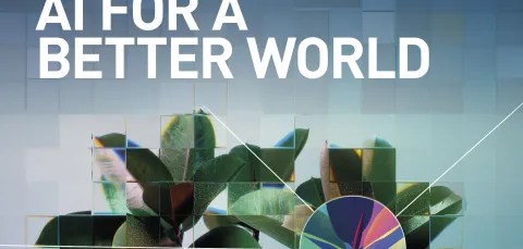 Front cover for the WSI 2025 annual report