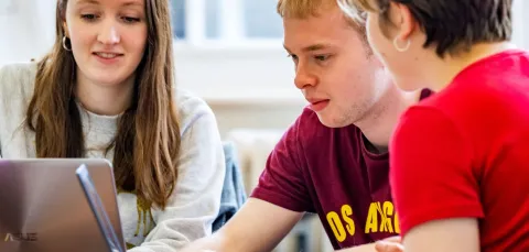 BA Modern Languages students using computer