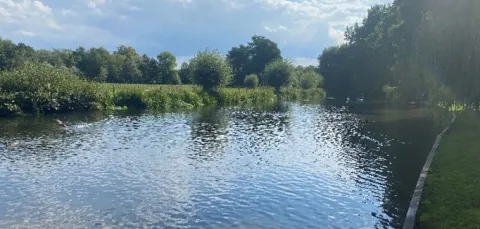 A tranquil scene of a waterway bordered by grass and trees under a blue sky with clouds.