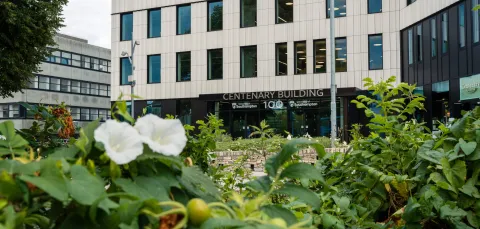 An exterior shot of the Centenary Building, also known as Building 100, on the University of Southampton's Highfield campus. The image is captured from the perspective of a flowerbed, which has several white flowers.