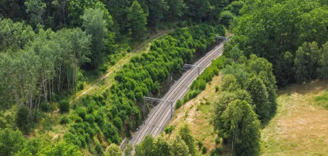 Curved railway tracks running through a green forest landscape on a sunny day.