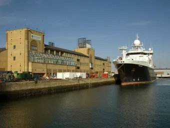 Waterfront Campus and the surrounding docks and boats on a sunny day.