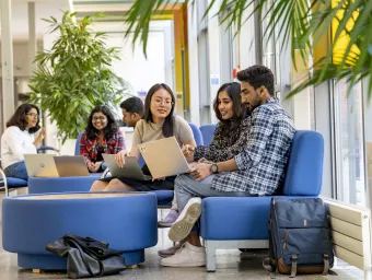 Two groups of students sitting on easy chairs, talking and looking at their laptops. 
