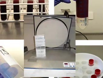 A collage of laboratory test tubes and equipment in various settings.