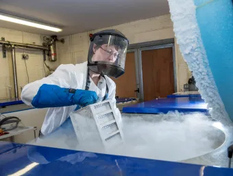 Sarah Buchan wears safety gear pulling a rack from a freezer in a lab with liquid nitrogen vapor rising.