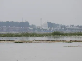 Wetlands
