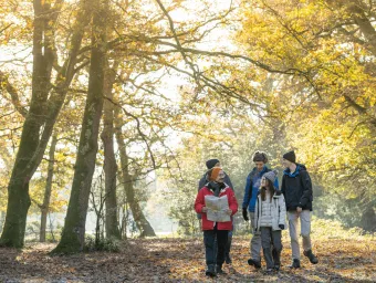 University of Southampton students from the Hill Walking Society walking through woodland in the New Forest.