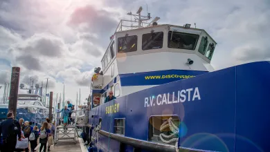 An industrial looking boat emblazoned with the name RV Callista, moored beside a wooden dock, beneath a sunny sky.