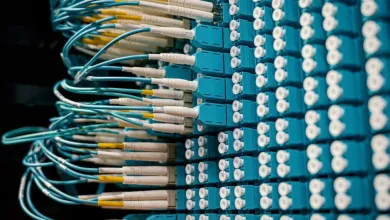 Electrical panel with multiple connectors