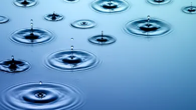 Droplets of water falling on water along with their concentric wave patterns