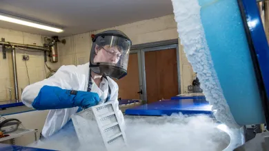 Sarah Buchan wears safety gear pulling a rack from a freezer in a lab with liquid nitrogen vapor rising.