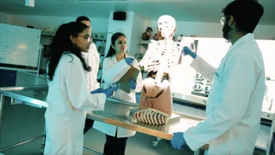 Medicine students working on skeletal model