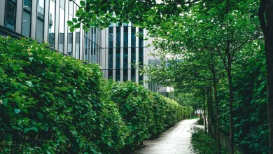 A clean urban environment with lush plants bordering a cement walkway.