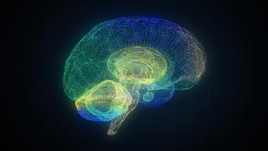 A digital illustration of a human brain made up of small glowing dots in blue, green and yellow on a dark background.