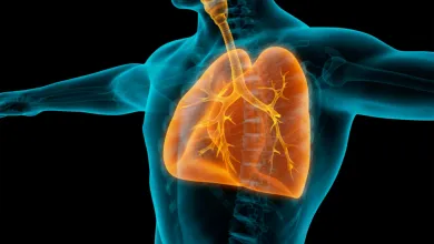 A medical illustration showing the upper body of a person with the lungs highlighted in orange. The trachea, bronchi and branching airways are visible inside the ribcage.