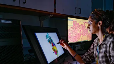 Researcher using a digital display to analyse scientific imaging data in a laboratory.