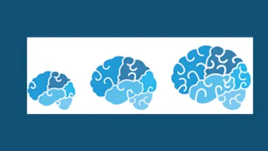 Illustration of 3 brains on a plain background