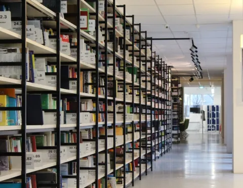 books on library shelves