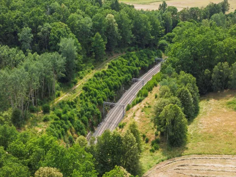 Curved railway tracks running through a green forest landscape on a sunny day.