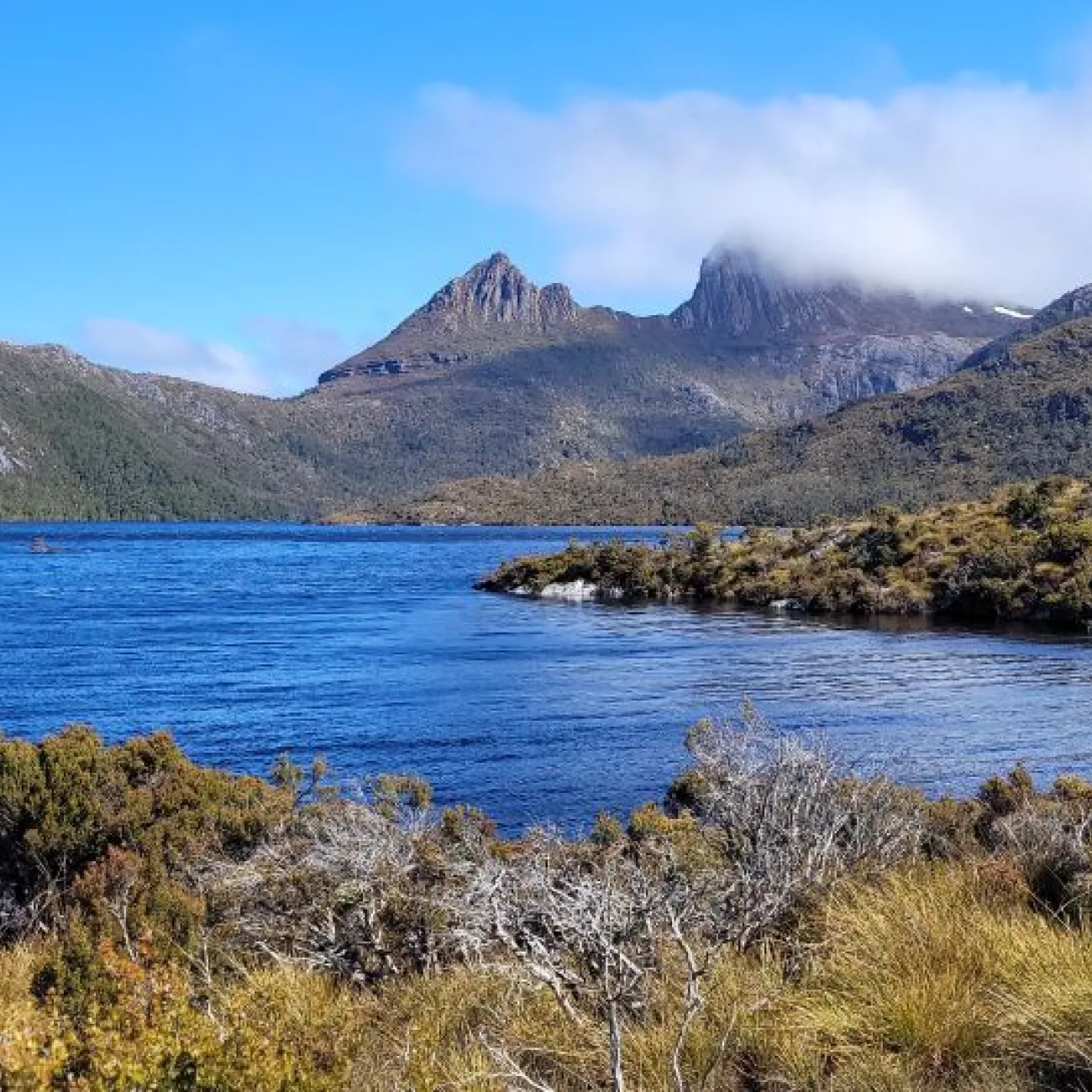 A bright blue lake surrounded by rugged mountains and scrubland, with Cradle Mountain partly covered by cloud in the background.