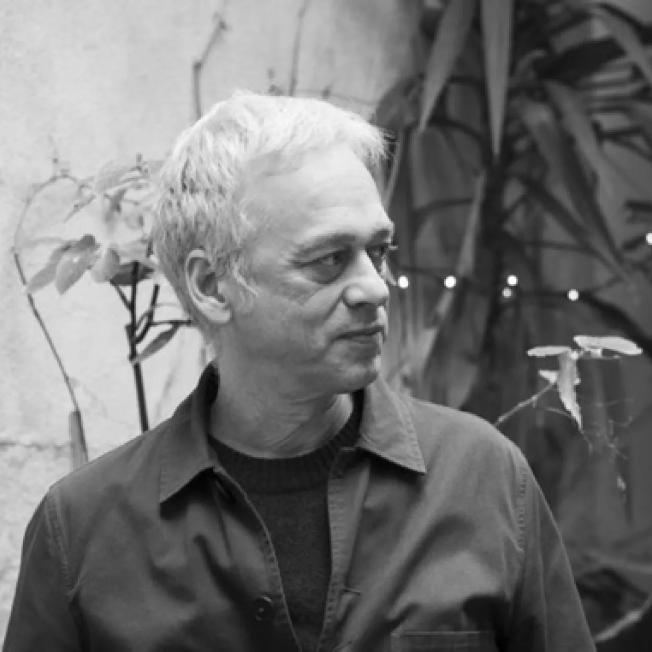 Doctor Daniel Cid Moragas