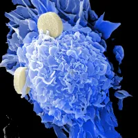 Cancer Cells
