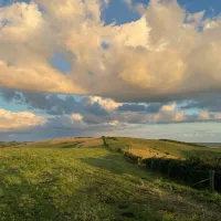 A billowing cloud rolls over a grassy field in the evening sun,