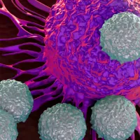 3D illustration of a cancer cell with smaller round cells surrounding it.